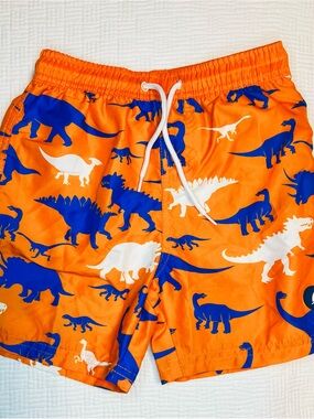 Orange Swim Shorts with Blue Dinosaur Print